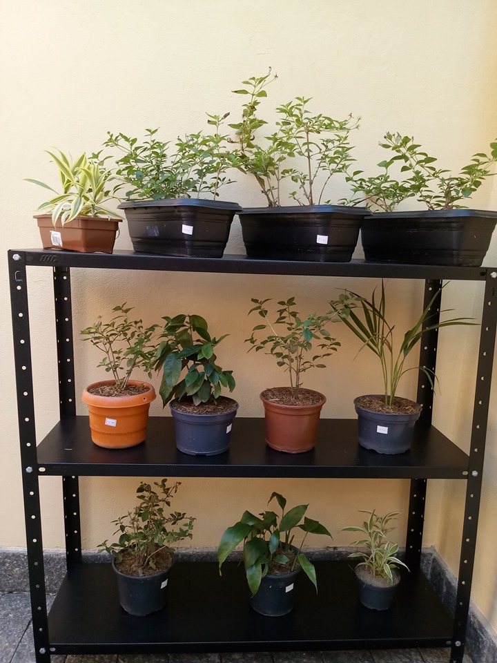 59488577 2305944616191935 7415584155523612672 n